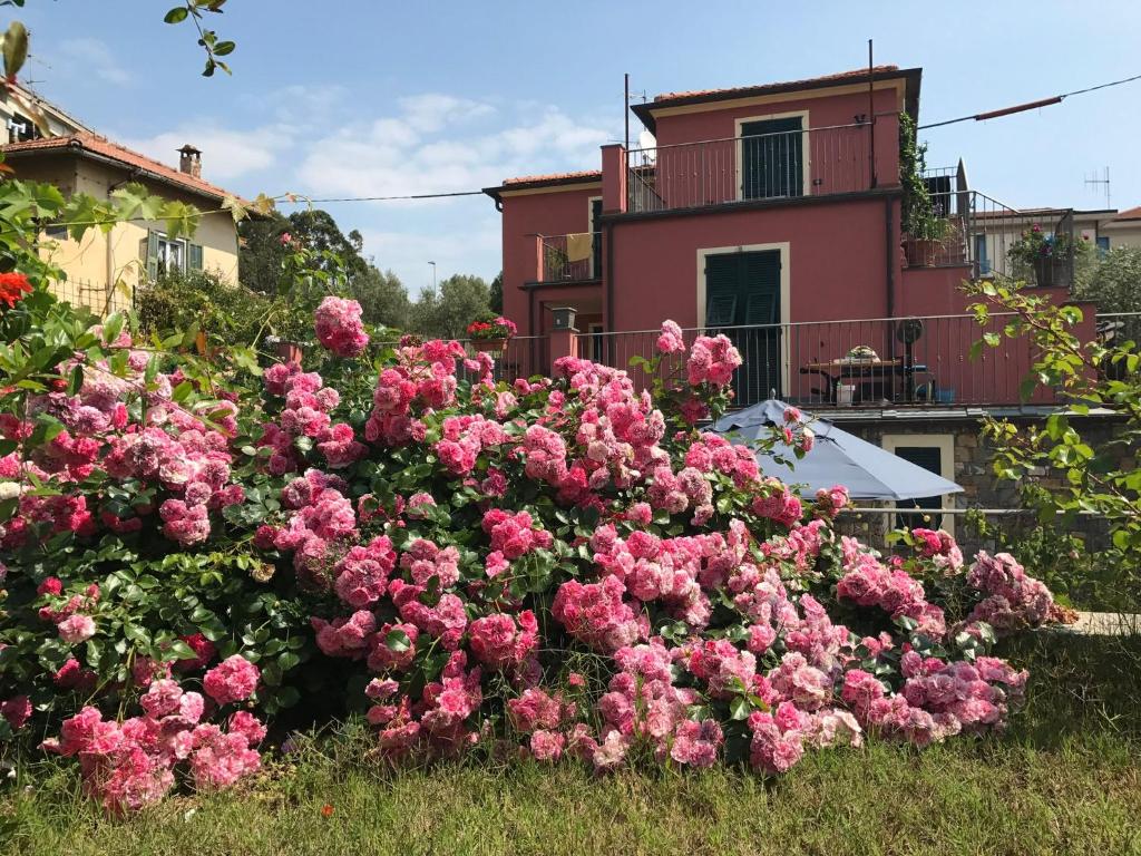 Vonkajšia záhrada v ubytovaní Casa Girasole 600 mt dal mare