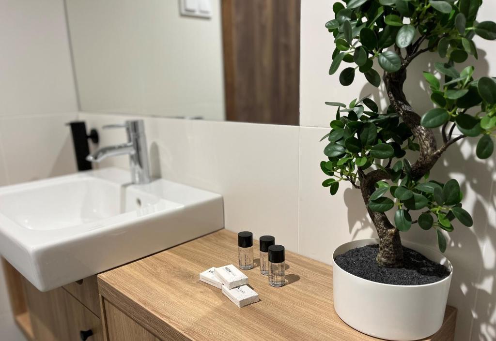 Kampus Vizja Park - 2