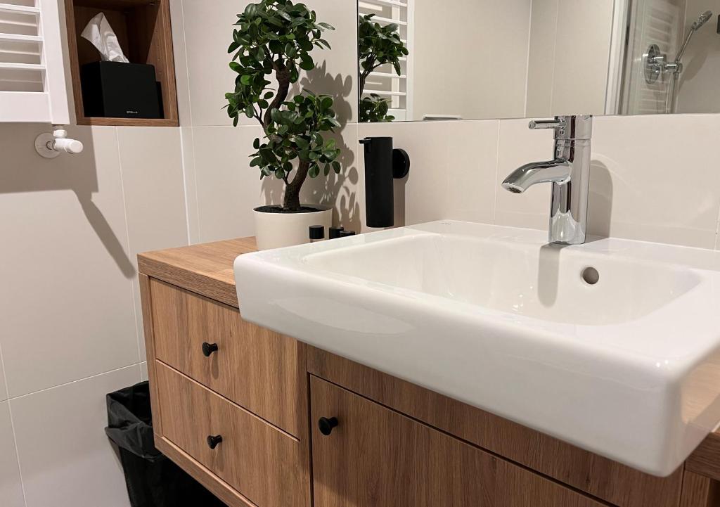 Kampus Vizja Park - 12