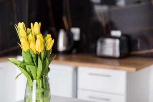 Kuchyňa alebo kuchynka v ubytovaní Apartament Hania