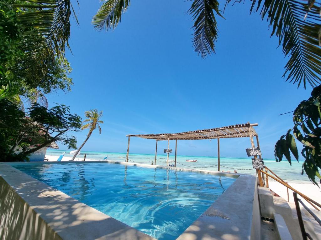 a swimming pool with the beach in the background at Red Monkey Beach Lodge in Jambiani