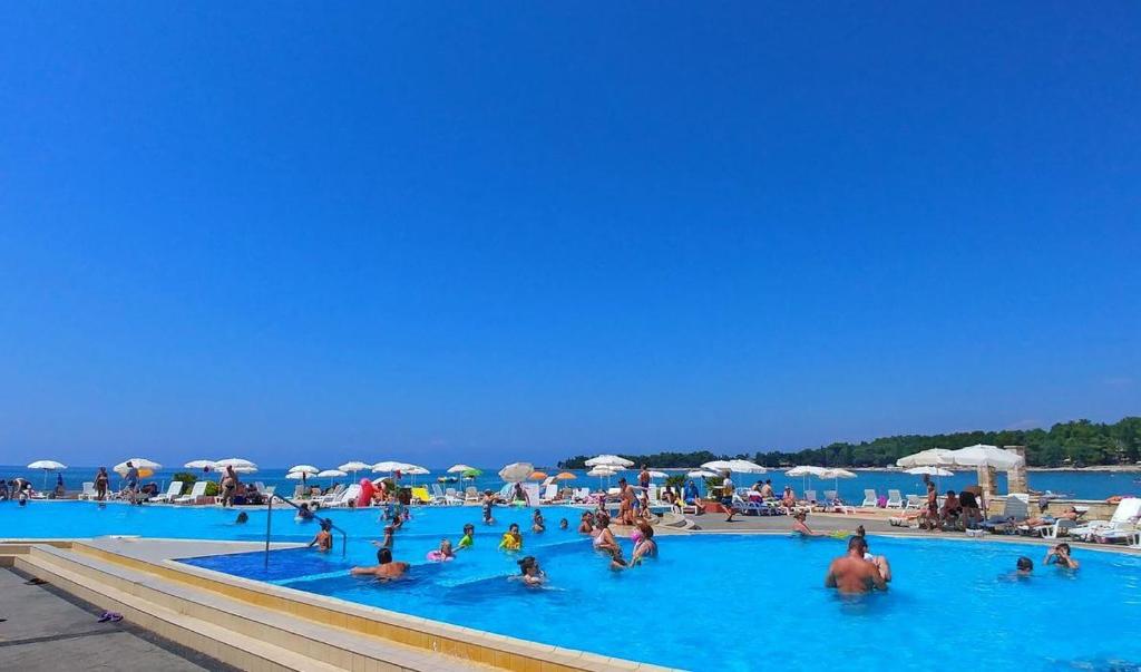 a group of people swimming in a swimming pool at Easyatent Camping Stella Maris in Umag