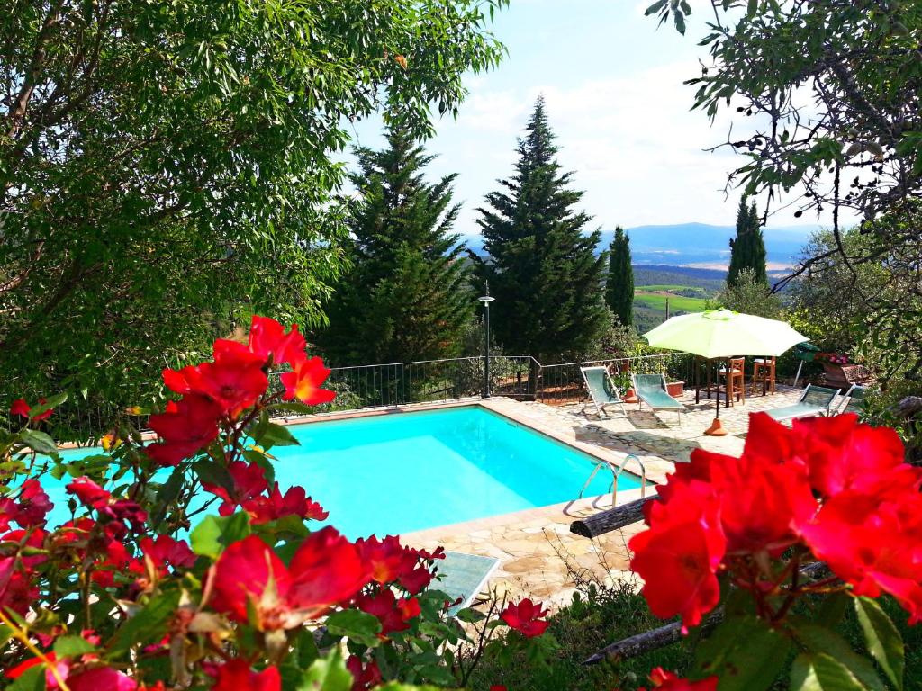 Bazén v ubytování Podere Palazzolo (ADULTS ONLY) nebo v jeho okolí