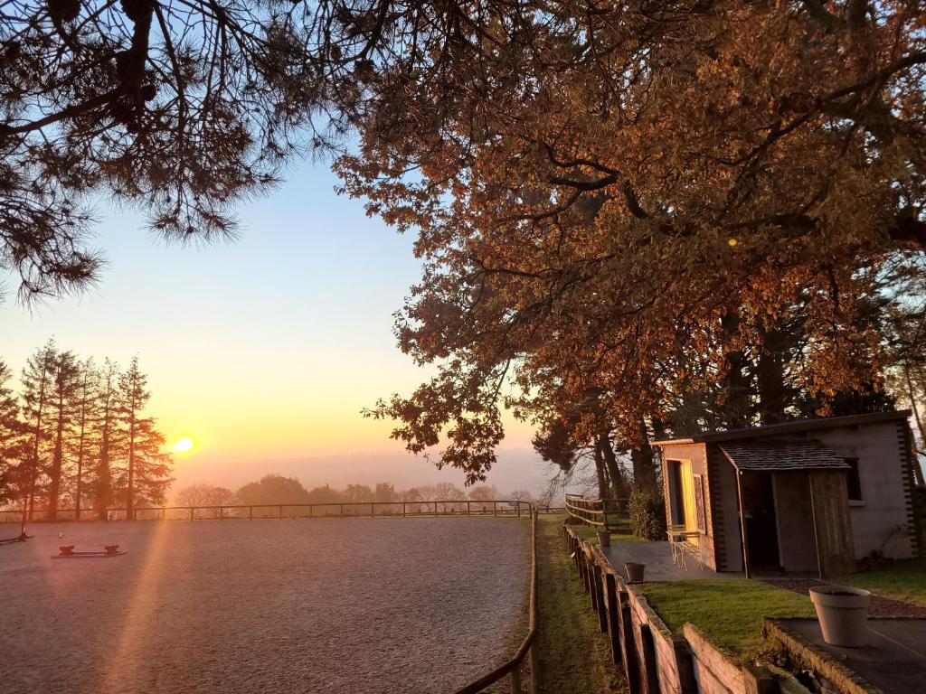 a sunset over a lake with a house and a tree at Le Cottage de la Doucette in Paimpont