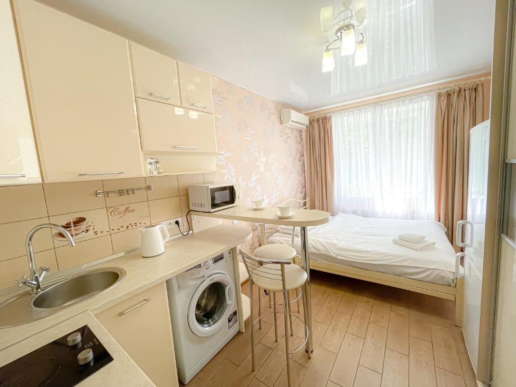 una pequeña cocina con fregadero y lavadora en McApartment, en Járkov