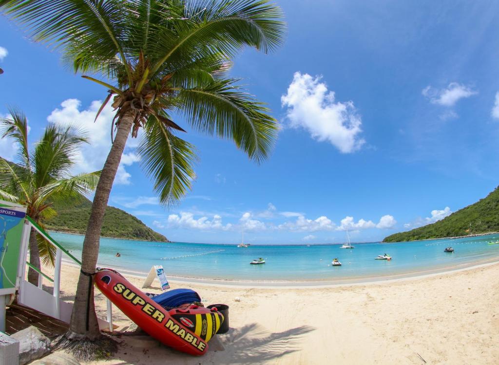 a beach with a surfboard and a palm tree at Blue Sail Hotel in Anse Marcel 