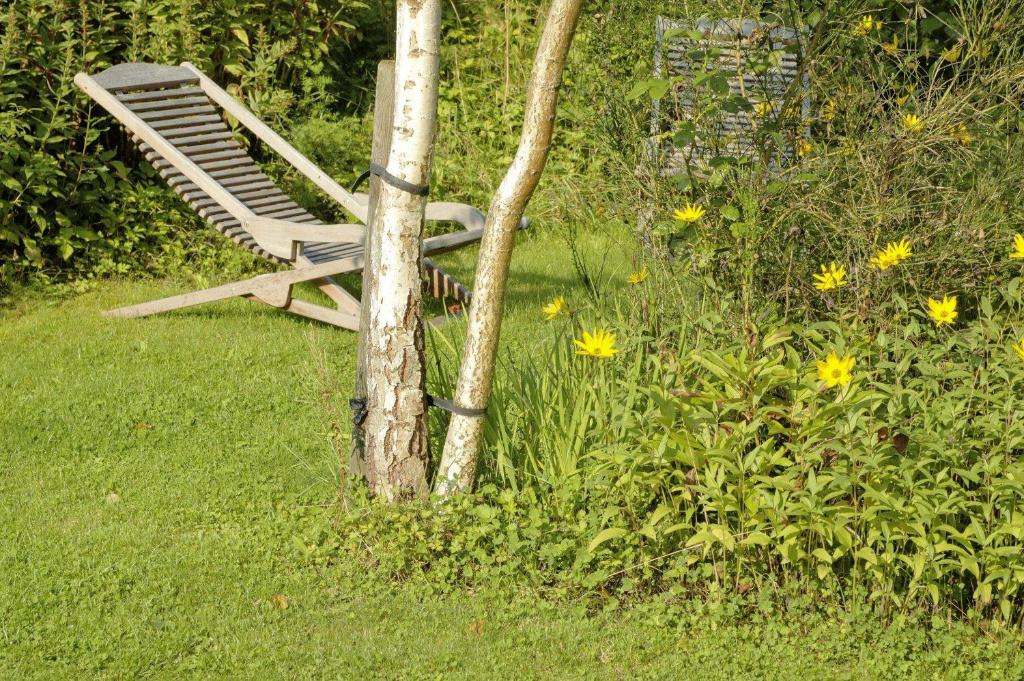 Zahrada ubytování B&B Le Clos de la Fontaine