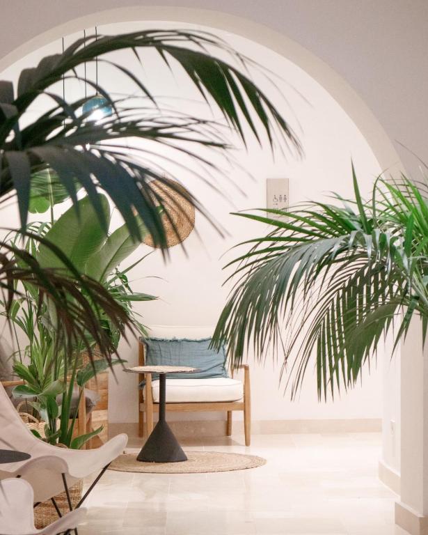 Posezení v ubytování Casa du Soleil Hostal Boutique