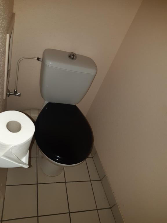 a bathroom with a toilet and a toilet paper dispenser at Gite de Bénédicte Mouton in Colmar