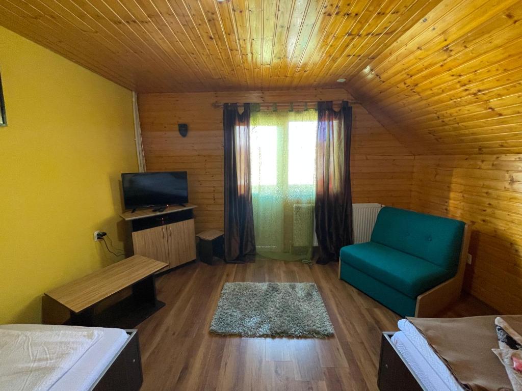 TV a/nebo společenská místnost v ubytování Cabana la Razvan