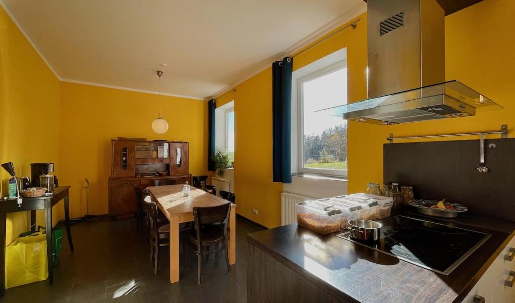 Kuchyň nebo kuchyňský kout v ubytování Die Strumpffabrik - Guesthouse