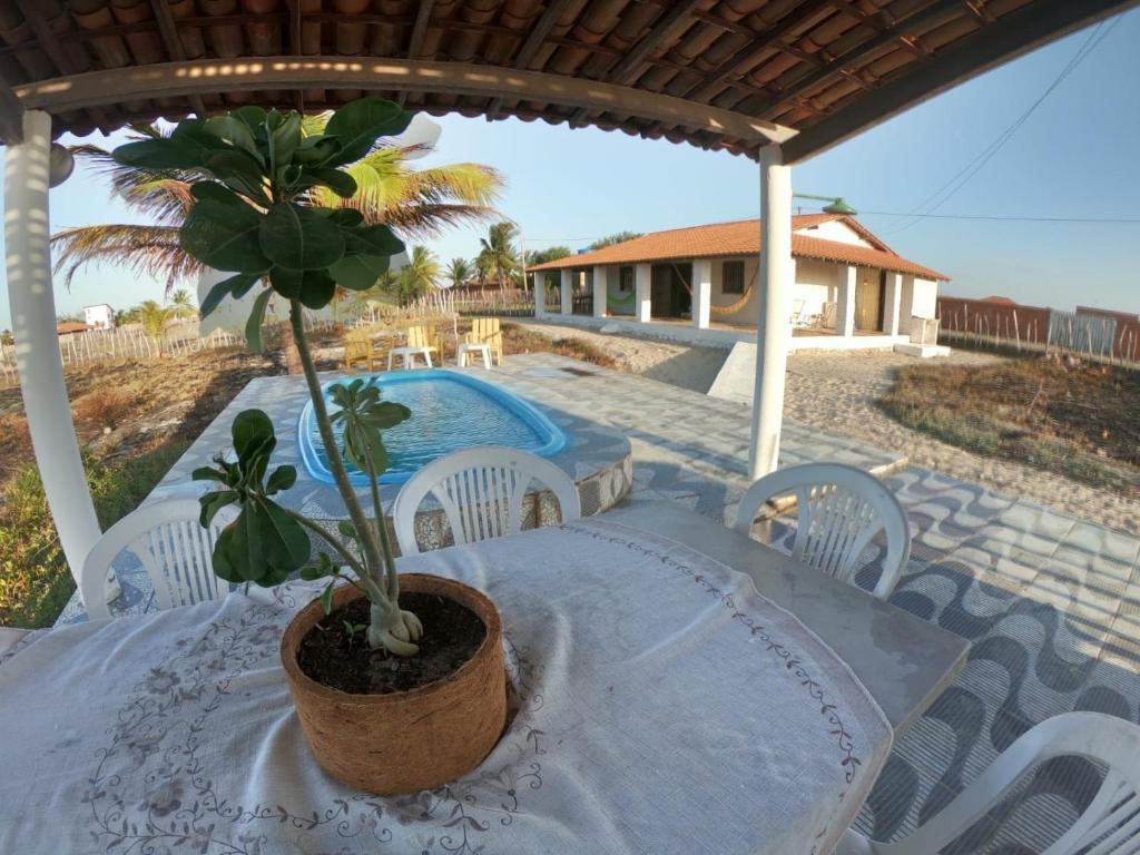 a table with a potted plant on top of it at Pires House Beach Maramar in Luis Correia