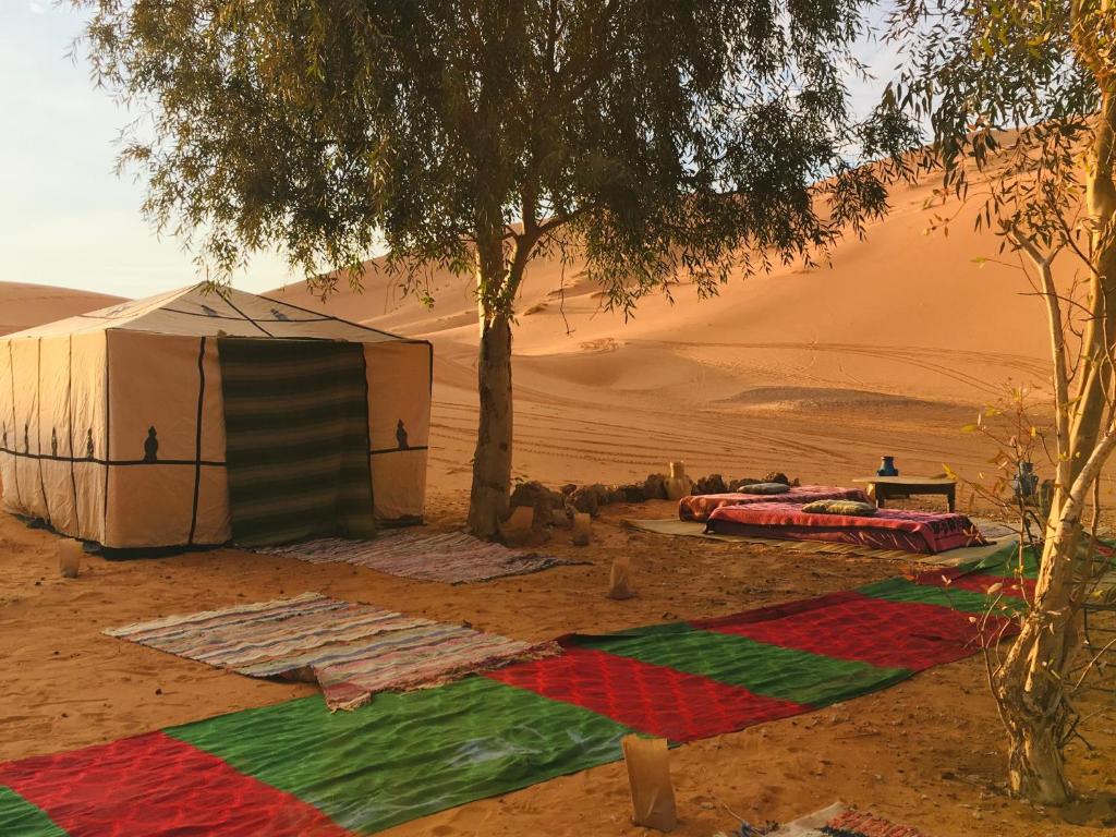 Nomadic Desert Camp Tours - 帐篷