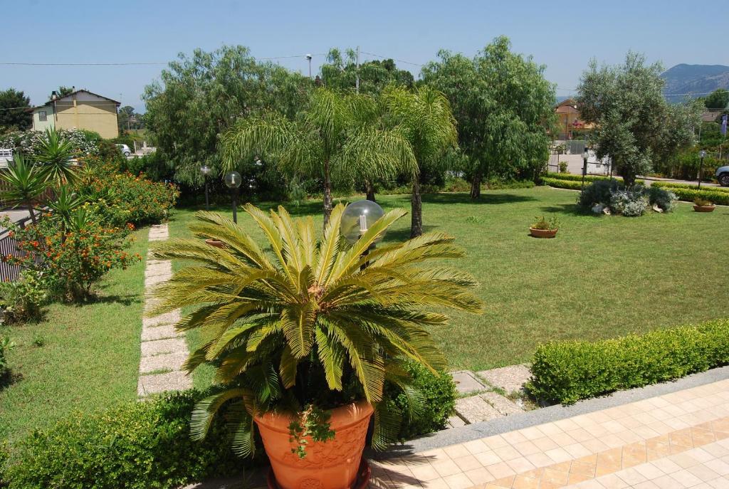 Zahrada ubytování Telma Hotel