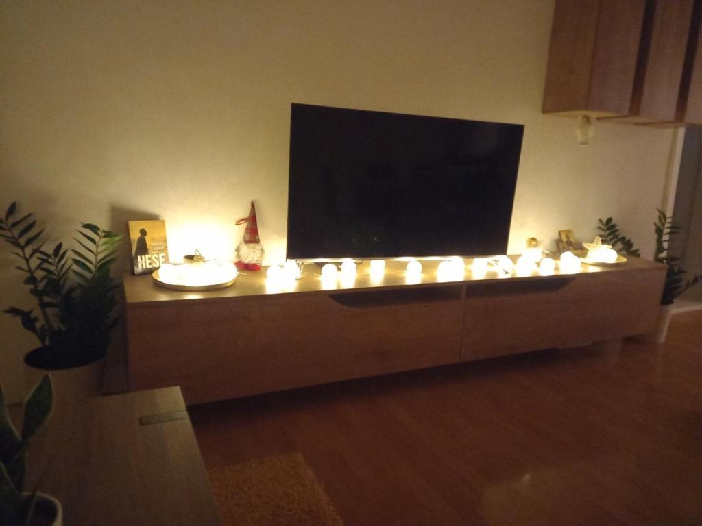 TV a/nebo společenská místnost v ubytování Skriveni raj