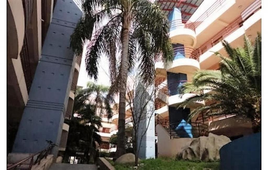 una palmera frente a un edificio en Lunita de Alberdi en Córdoba