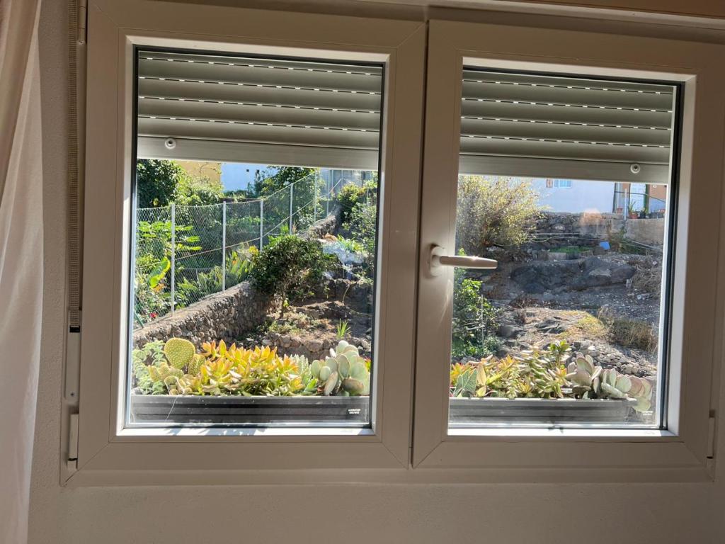 Zahrada ubytování Casa Chano Estudio confortable Tenerife