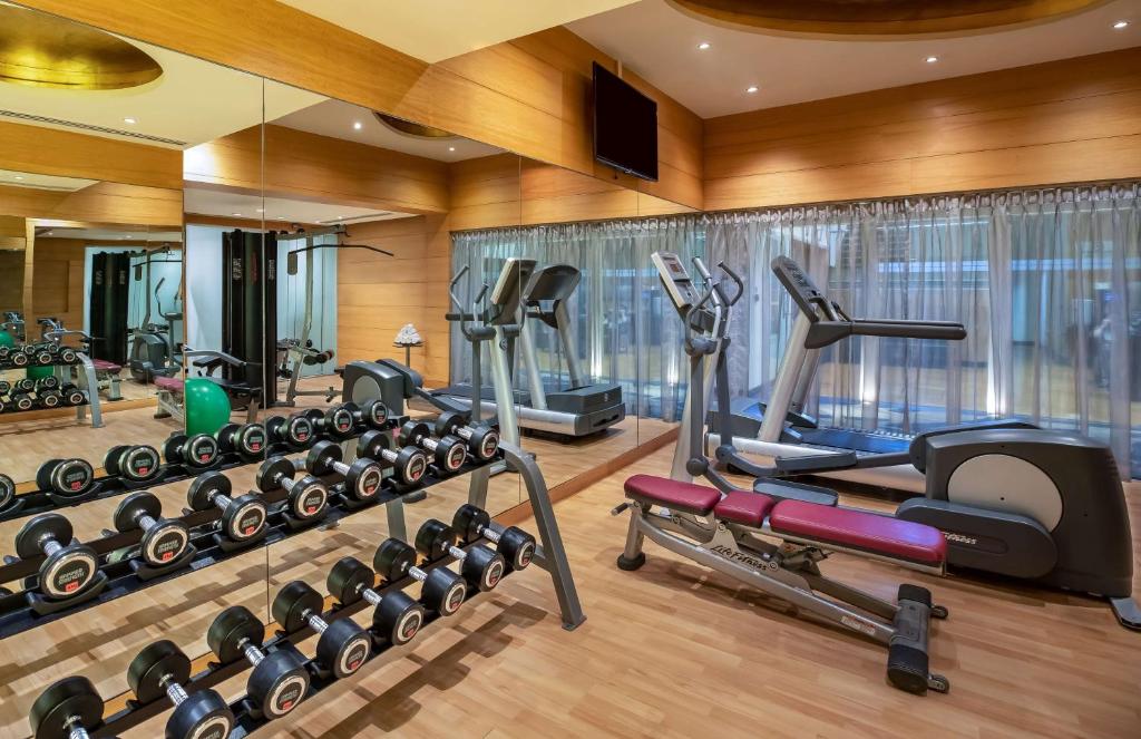Fitness centrum a/nebo fitness zařízení v ubytování Radisson Blu Marina Hotel Connaught Place