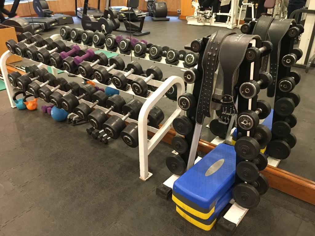 Fitness centrum a/nebo fitness zařízení v ubytování Radisson Blu MBD Hotel Noida
