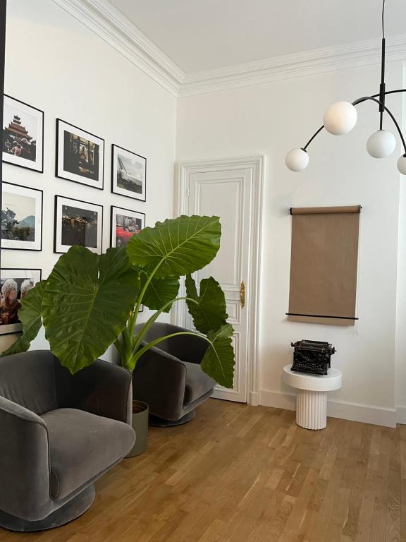 a living room with a chair and a plant at La Maison de Reina in Troyes