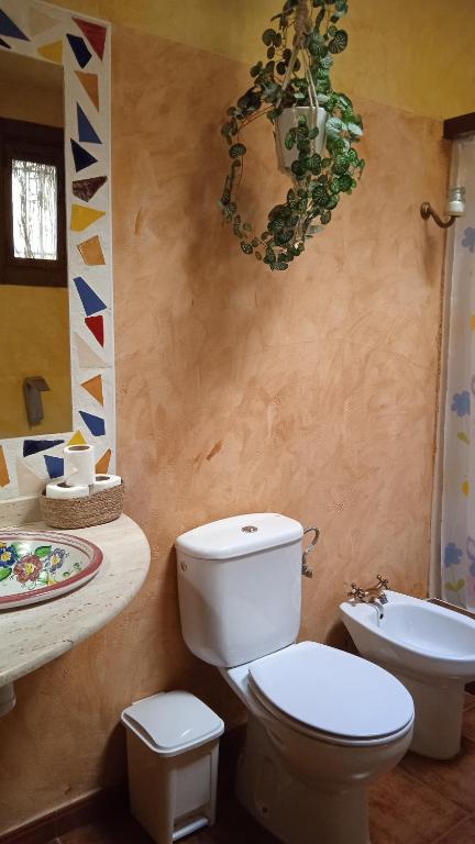 Kúpeľňa v ubytovaní El Quinto Pino Riópar