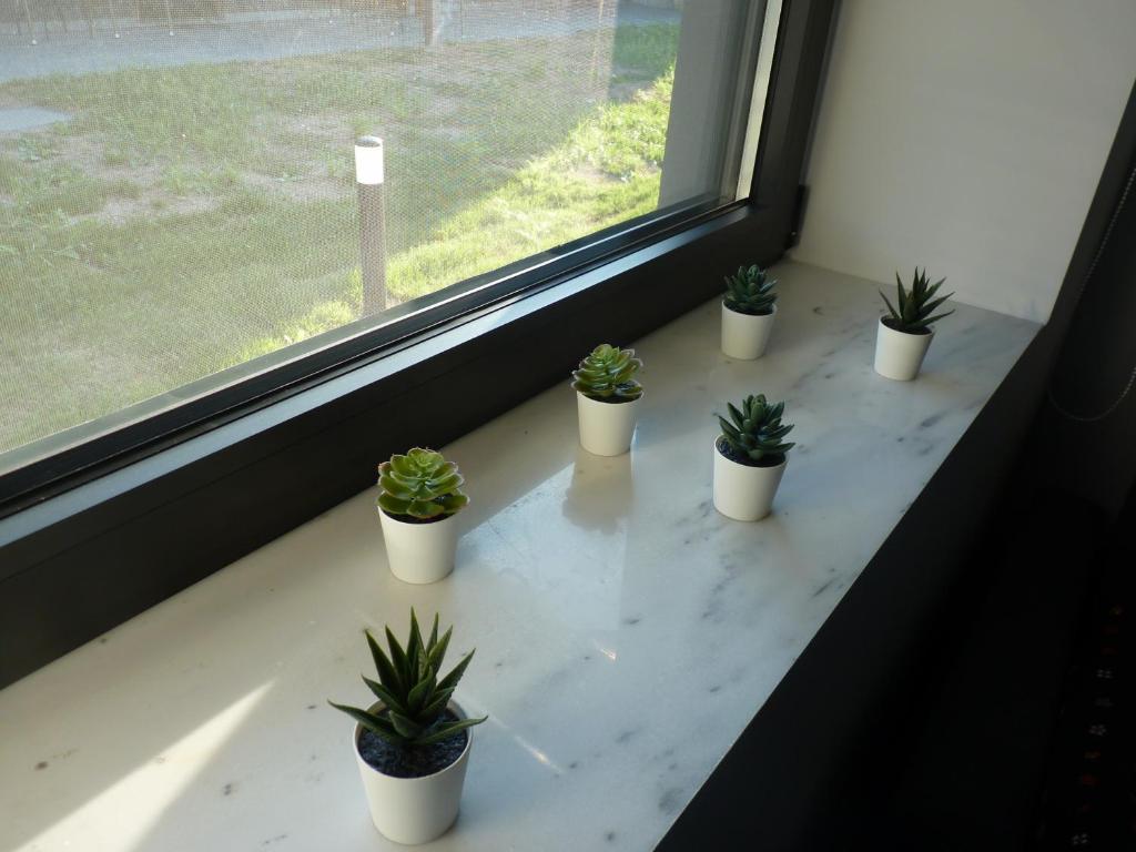 Comfort Suites & Rooms - 7