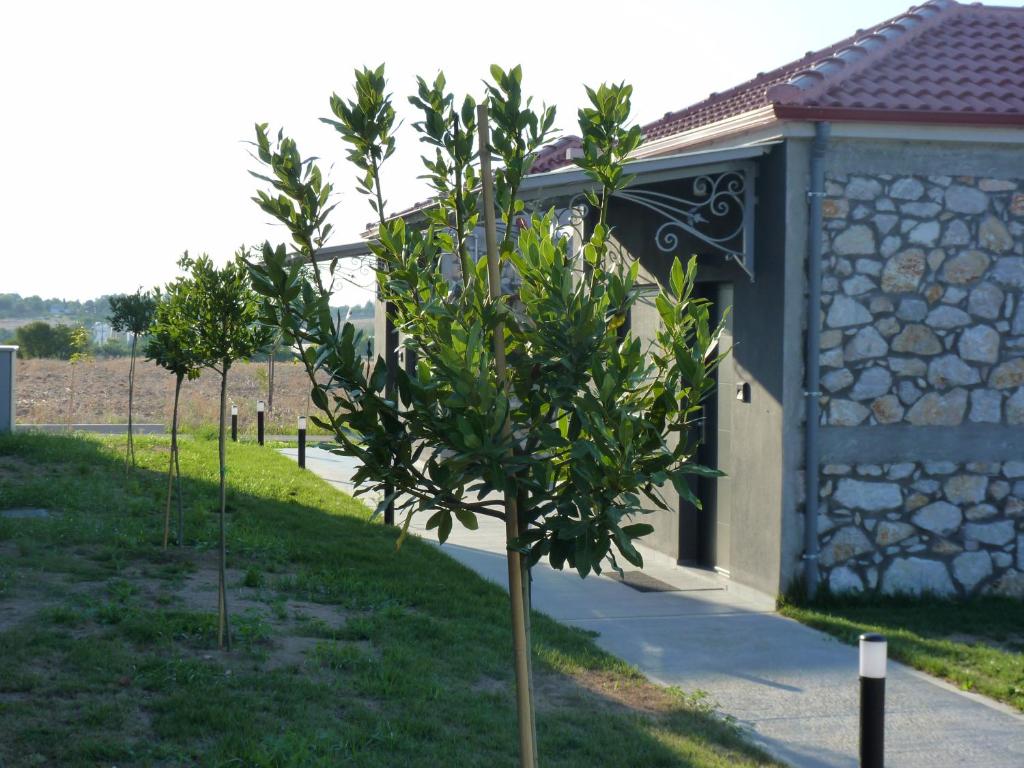 Comfort Suites & Rooms - 2