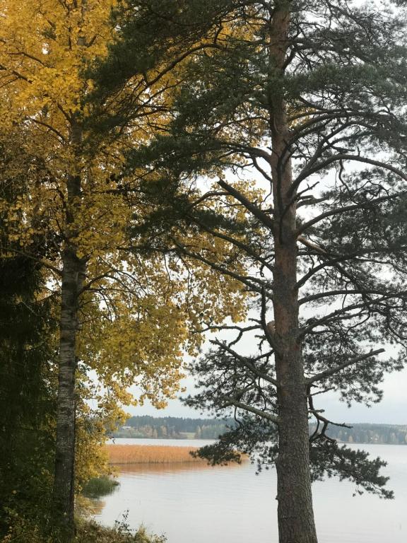 Fotografie z fotogalerie ubytování Haapaniemi Cottages v destinaci Iisalmi