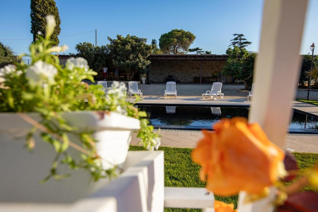 een rij potplanten op een wit hek met een zwembad bij Agriturismo Dea Cerere in Carovigno