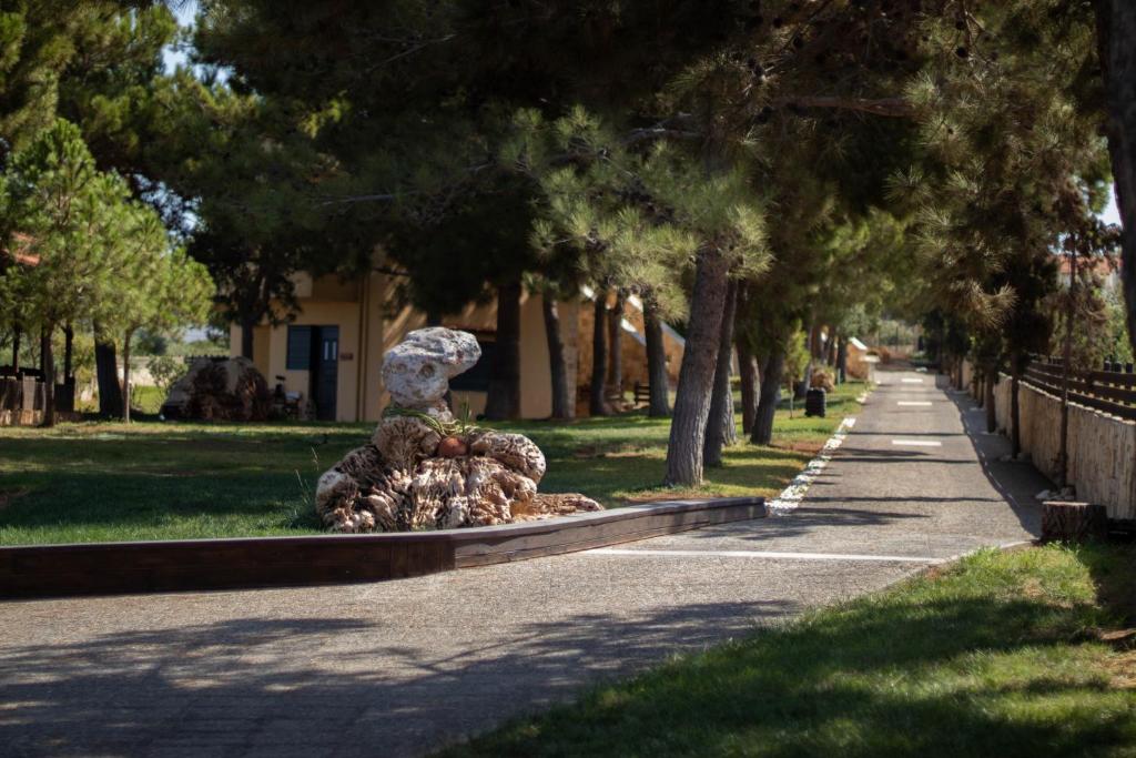 Zdjęcie z galerii obiektu Kreta Natur w mieście Hersonissos