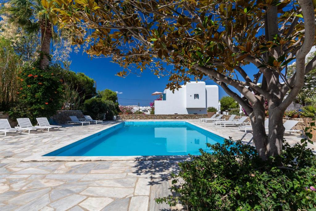 Bazén v ubytovaní Callisti Mykonos Town with pool view and Calypso upper floor with sea view alebo v jeho blízkosti
