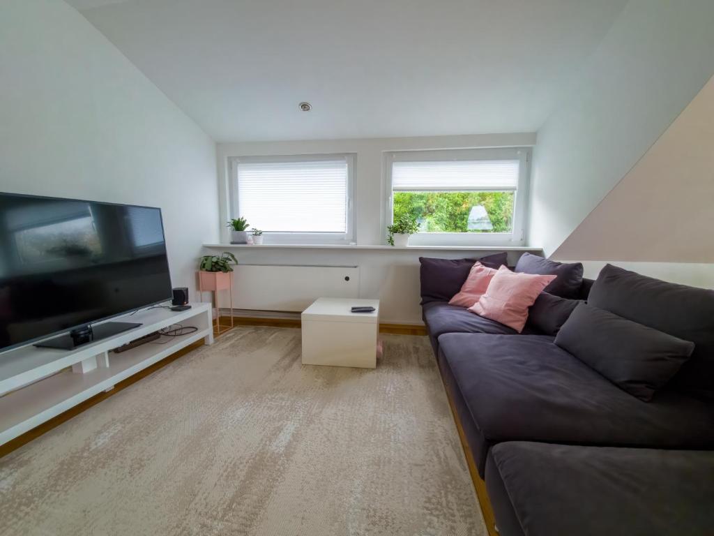 a living room with a couch and a flat screen tv at Wohnung mit einer Sauna direkt am Park in Wiesbaden