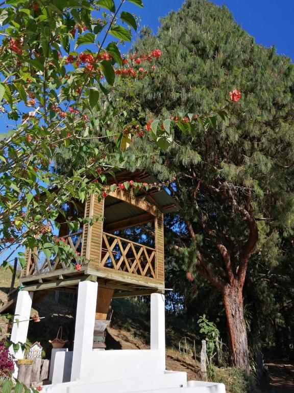 Zahrada ubytování ALMA Glamping - San Francisco Cund - A 1h de Bogotá
