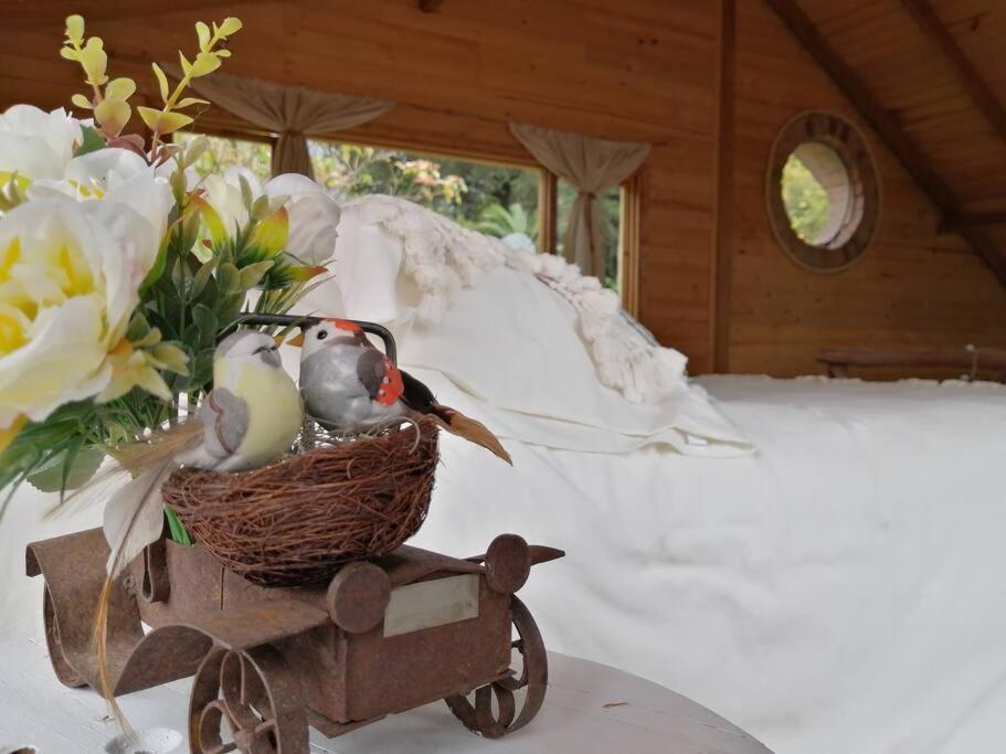 Fotografie z fotogalerie ubytování ALMA Glamping - San Francisco Cund - A 1h de Bogotá v destinaci San Francisco