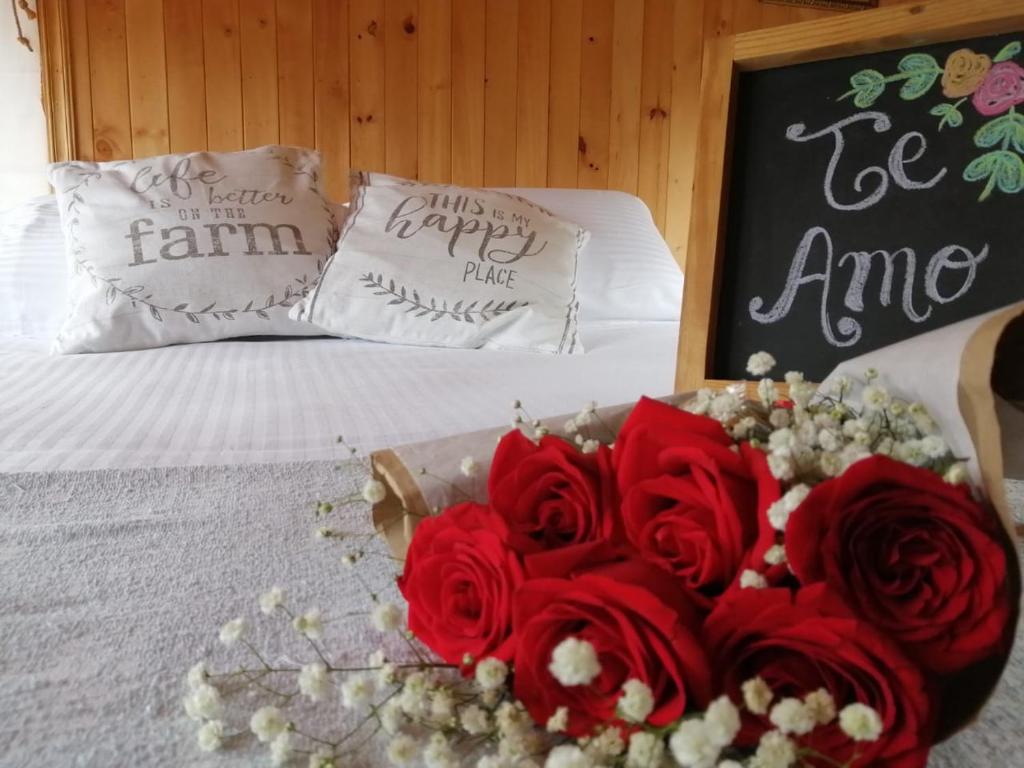 Postel nebo postele na pokoji v ubytování ALMA Glamping - San Francisco Cund - A 1h de Bogotá