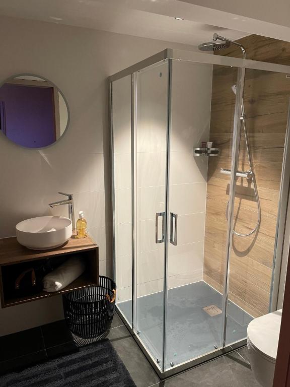 Koupelna v ubytování Gite Spa L'Atelier Emile - Spa Privatif - 5 min COLMAR