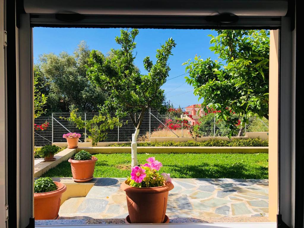 A garden outside Strelitzia Apartments