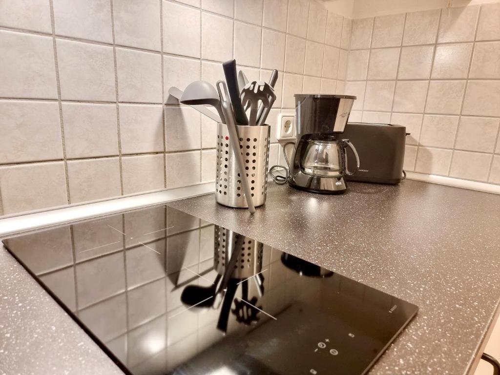 FeWo 2,4,5,6 Altstadt - Am grossen Garten - 13