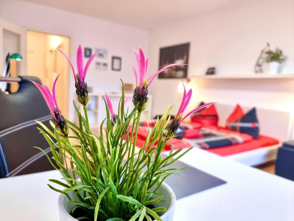 FeWo 2,4,5,6 Altstadt - Am grossen Garten - 10