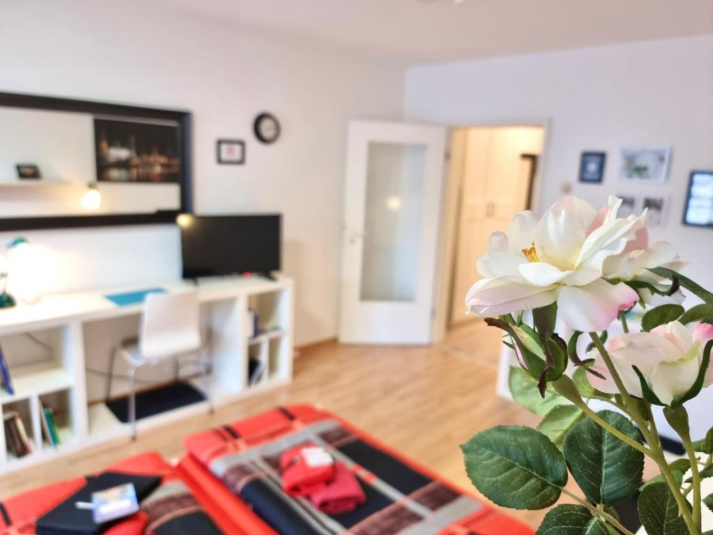 FeWo 2,4,5,6 Altstadt - Am grossen Garten - 4