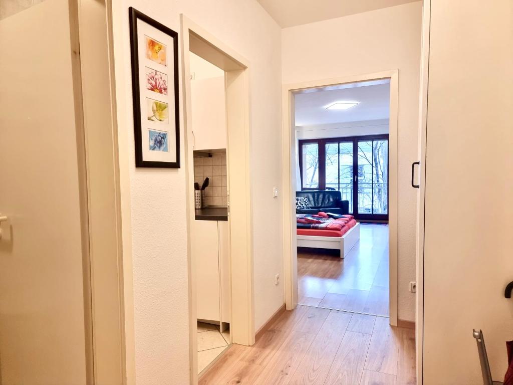 FeWo 2,4,5,6 Altstadt - Am grossen Garten - 5