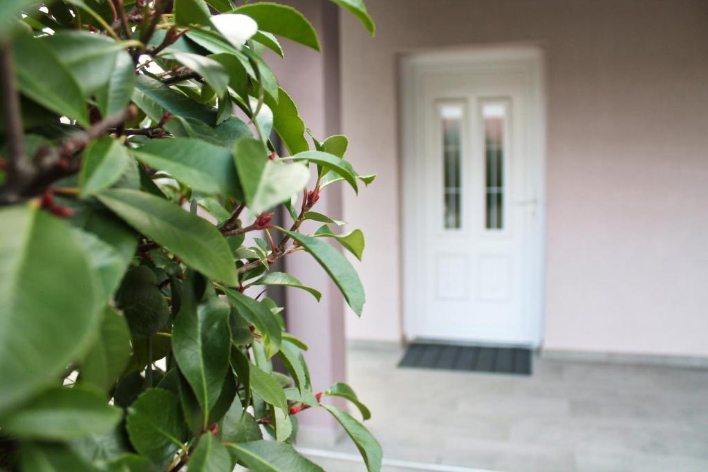 Old Town Zagreb Airport - 10