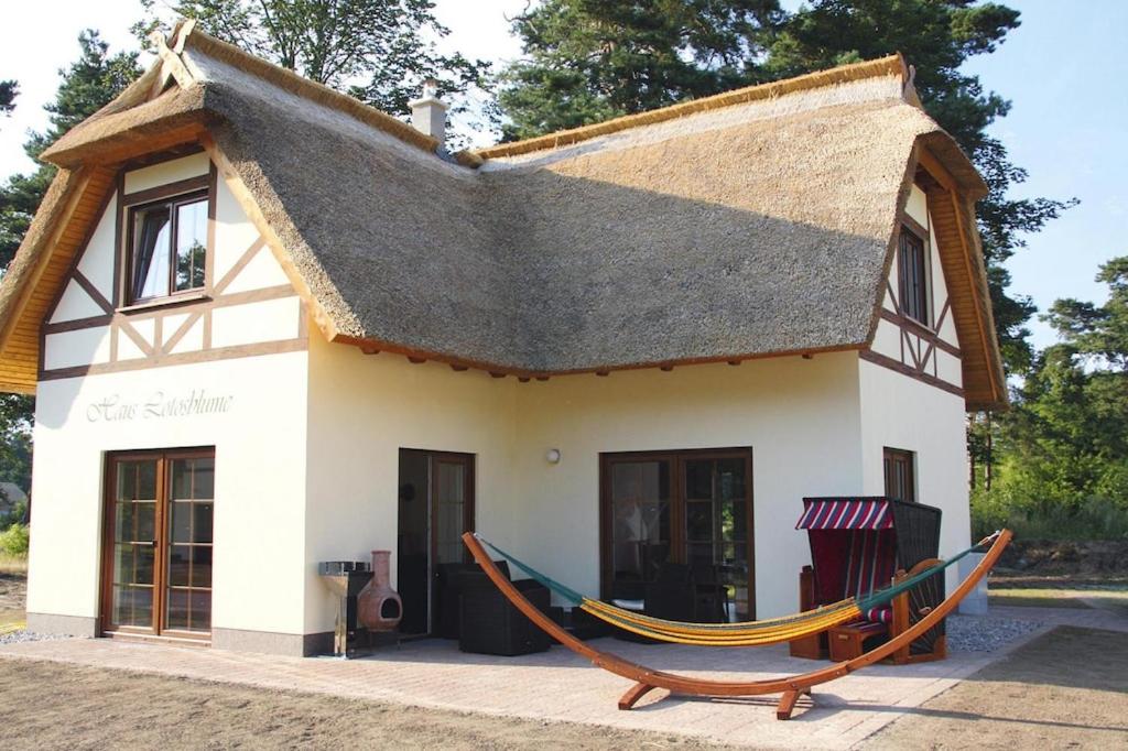a house with a hammock in front of it at Ferienhaus Lotusblume in Zirchow in Zirchow