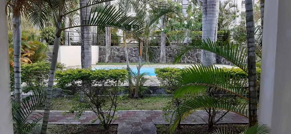 einen Garten mit Palmen und einem Pool in der Unterkunft Blue Sky Villa in Grand Baie