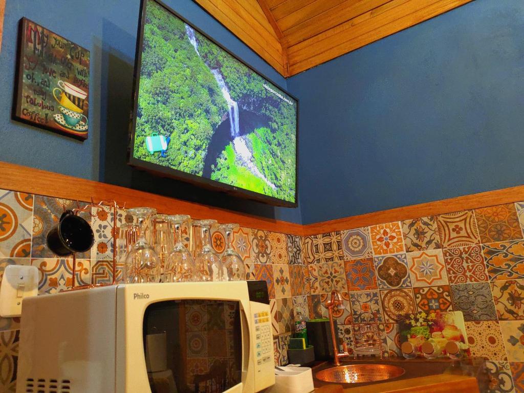 TV a/nebo společenská místnost v ubytování Cabana Drechsler Gramado