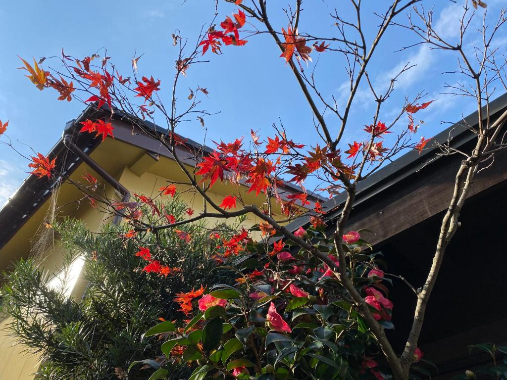 Giardino di ゲストハウス山吹