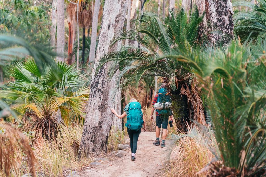 two people walking down a trail in the forest at BIG4 Breeze Holiday Parks - Carnarvon Gorge in Carnarvon Gorge