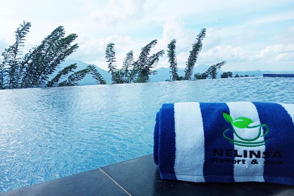 Bazén v ubytování Nelinsa Resort and Spa nebo v jeho okolí
