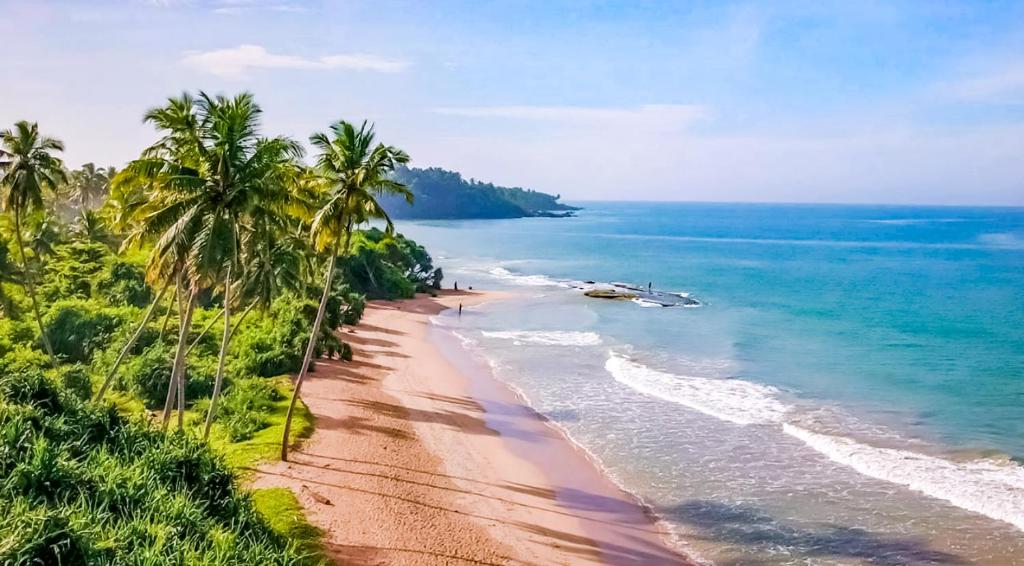 Phong cảnh thiên nhiên gần nhà khách