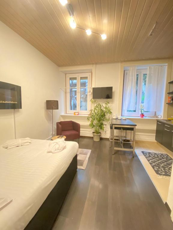 TV a/nebo společenská místnost v ubytování B&B Guest House Du Lac